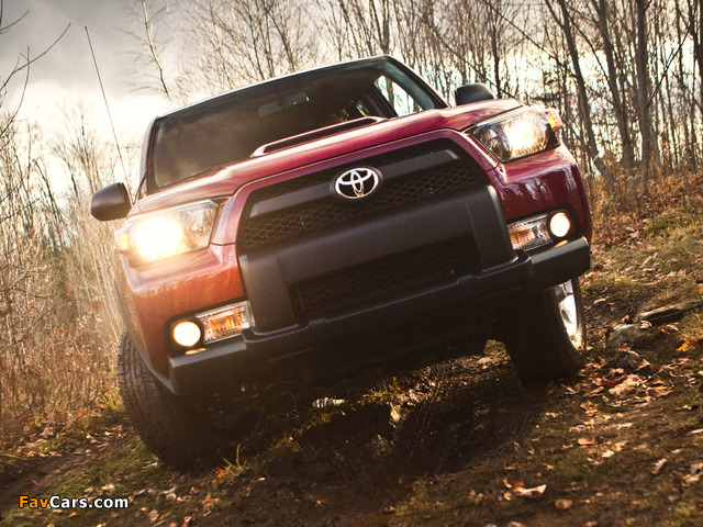 Toyota 4Runner Trail 2009 photos (640 x 480)