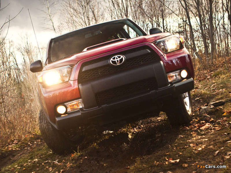 Toyota 4Runner Trail 2009 photos (800 x 600)