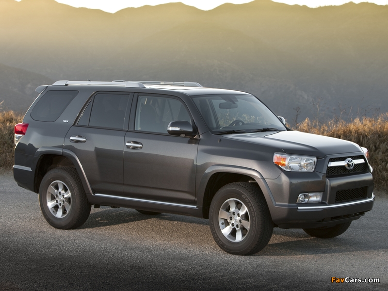 Toyota 4Runner SR5 2009 pictures (800 x 600)