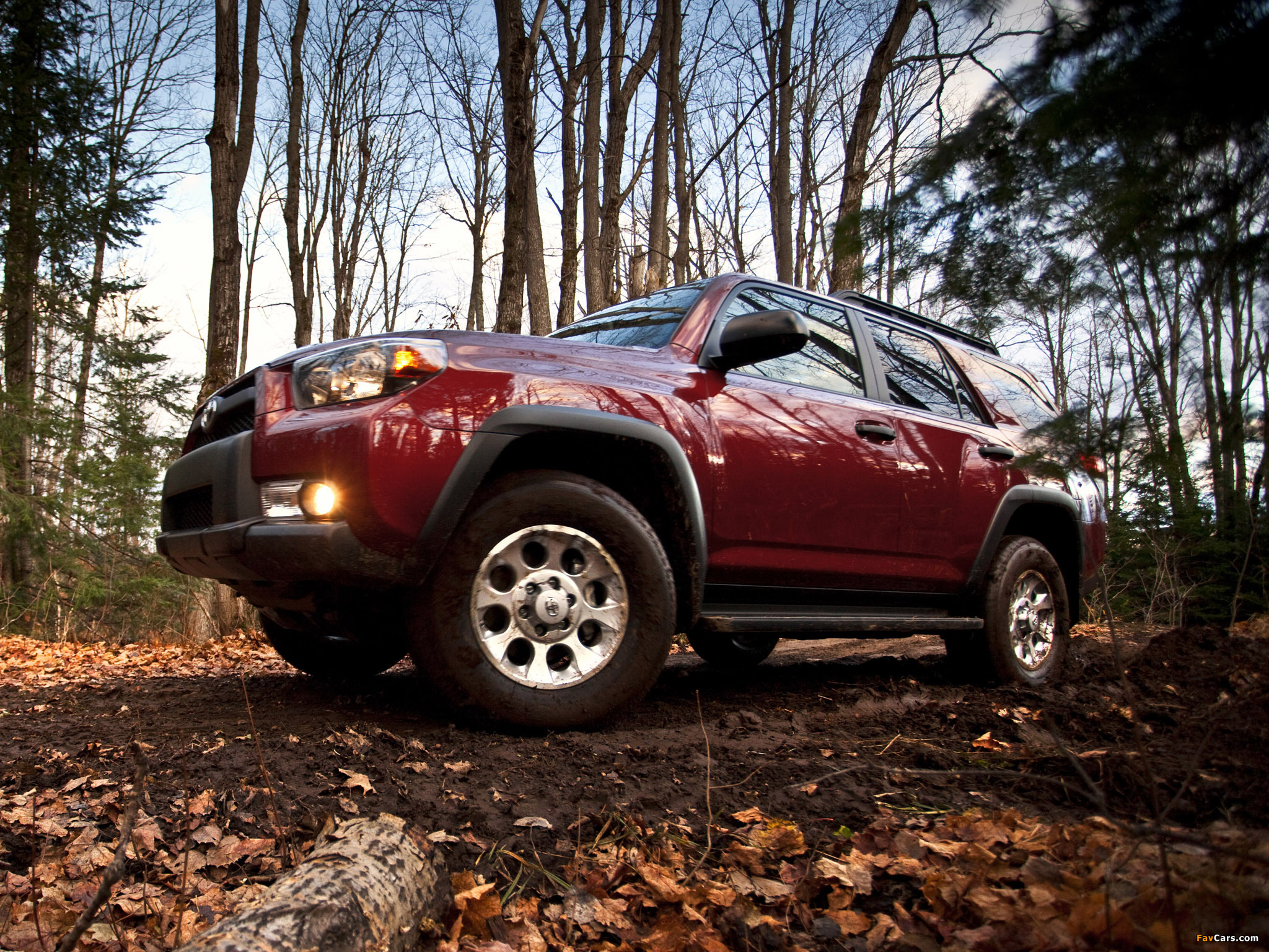 Toyota 4Runner Trail 2009 pictures (2048 x 1536)