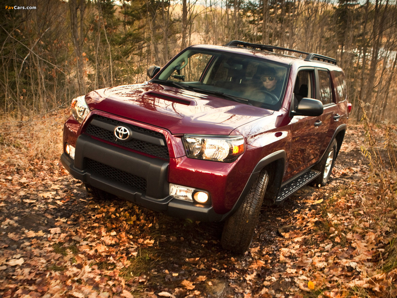 Toyota 4Runner Trail 2009 wallpapers (1280 x 960)