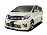 Images of Modellista Toyota Alphard 240S C Package (ANH20W) 2011
