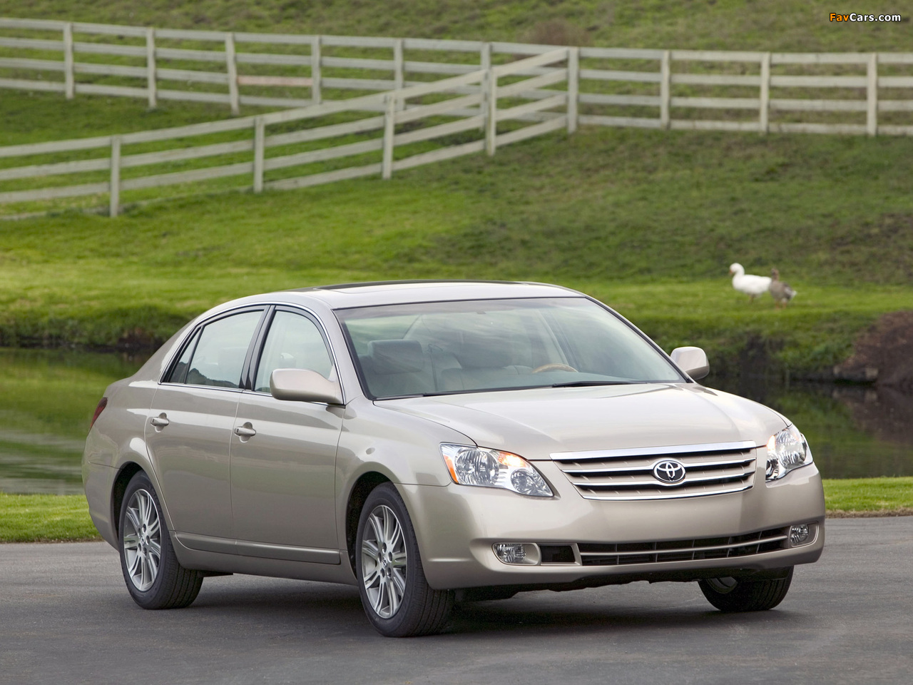Images of Toyota Avalon (GSX30) 2005–08 (1280 x 960)