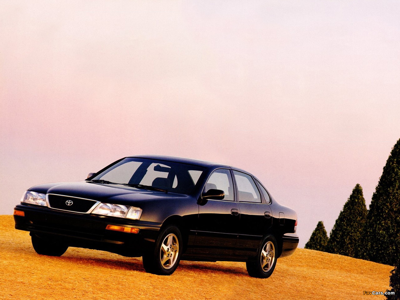 Photos of Toyota Avalon (MCX10) 1995–98 (1280 x 960)