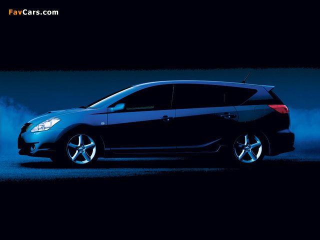 Pictures of Toyota Caldina (T240) 2002–04 (640 x 480)