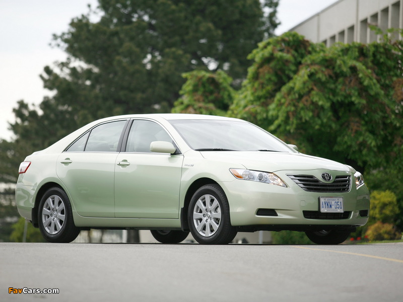 Pictures of Toyota Camry Hybrid 2006–09 (800 x 600)