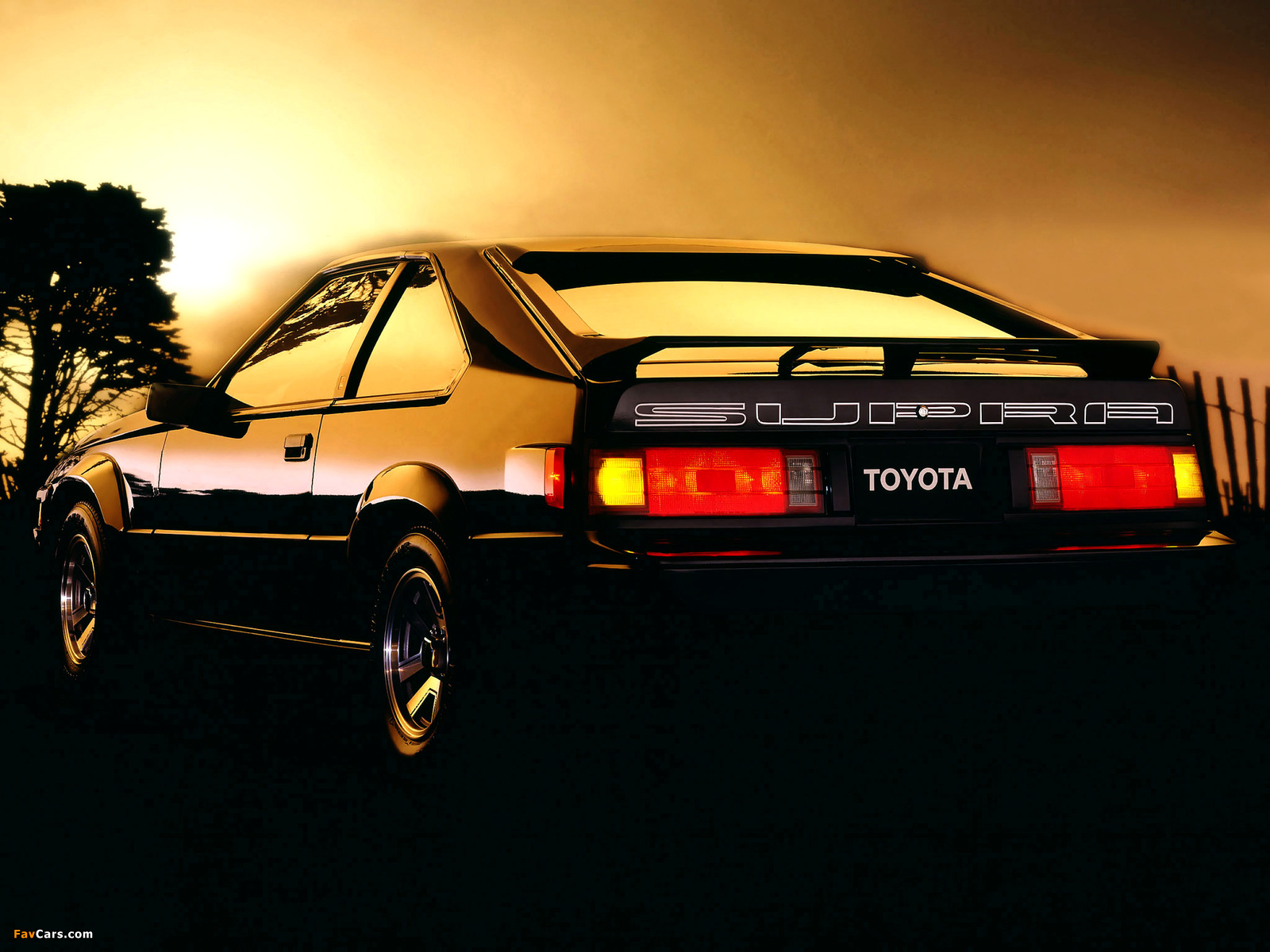 Pictures of Toyota Celica Supra (MA61) 1984–86 (1600 x 1200)