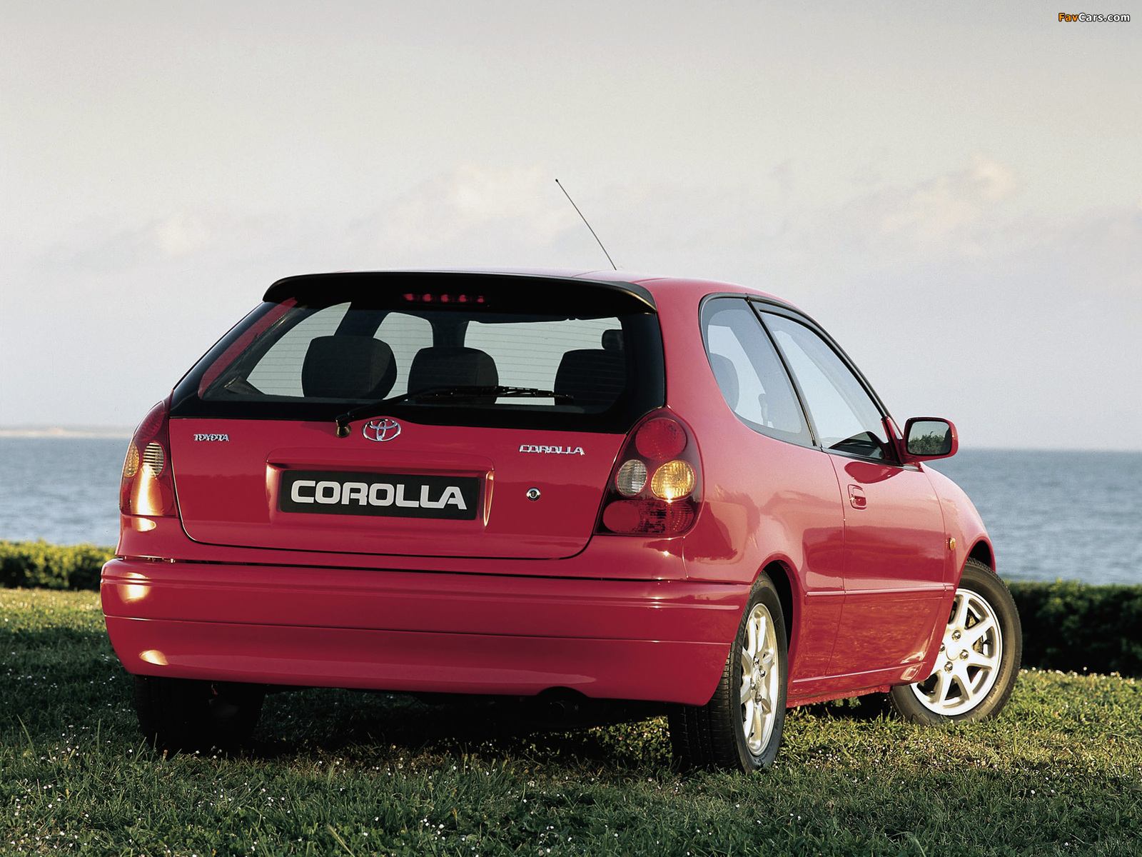 Toyota Corolla Compact 3-door (E110) 1997–99 pictures (1600 x 1200)