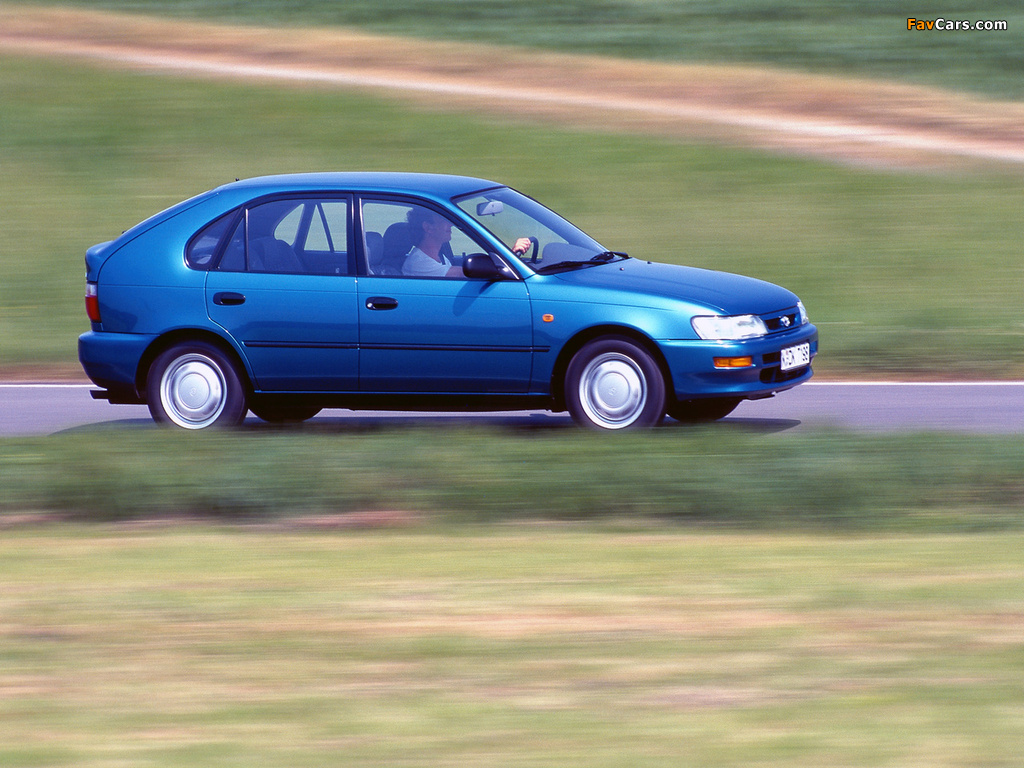 Toyota Corolla Compact 5-door (E100) 1991–98 pictures (1024 x 768)