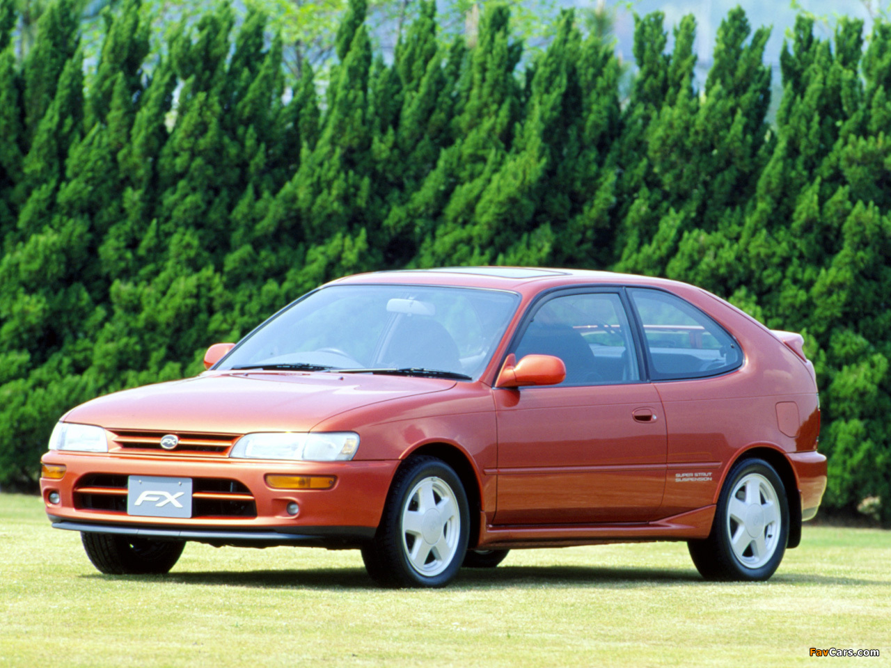 Toyota Corolla FX JP-spec (E100) 1992–95 wallpapers (1280 x 960)