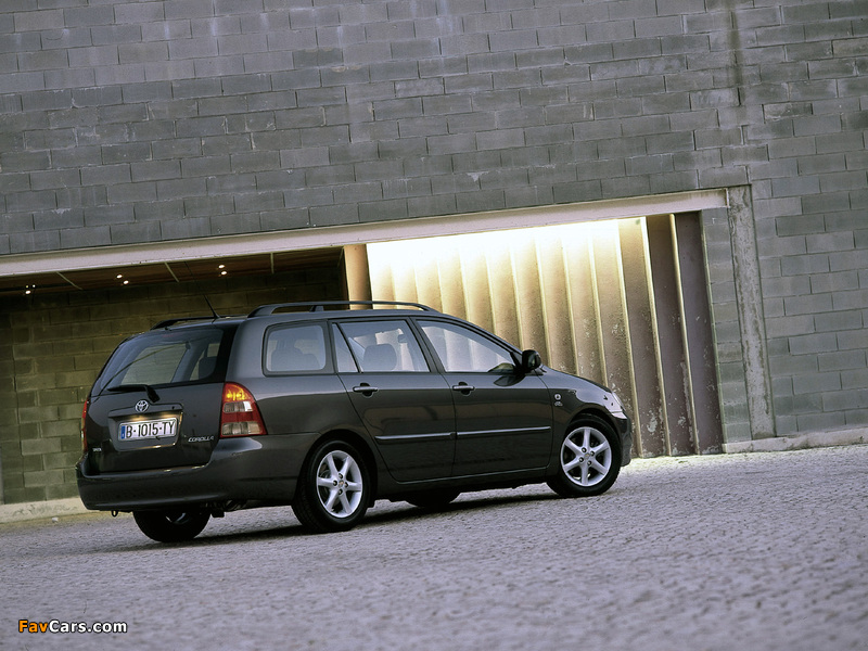 Images of Toyota Corolla Wagon 2001–04 (800 x 600)