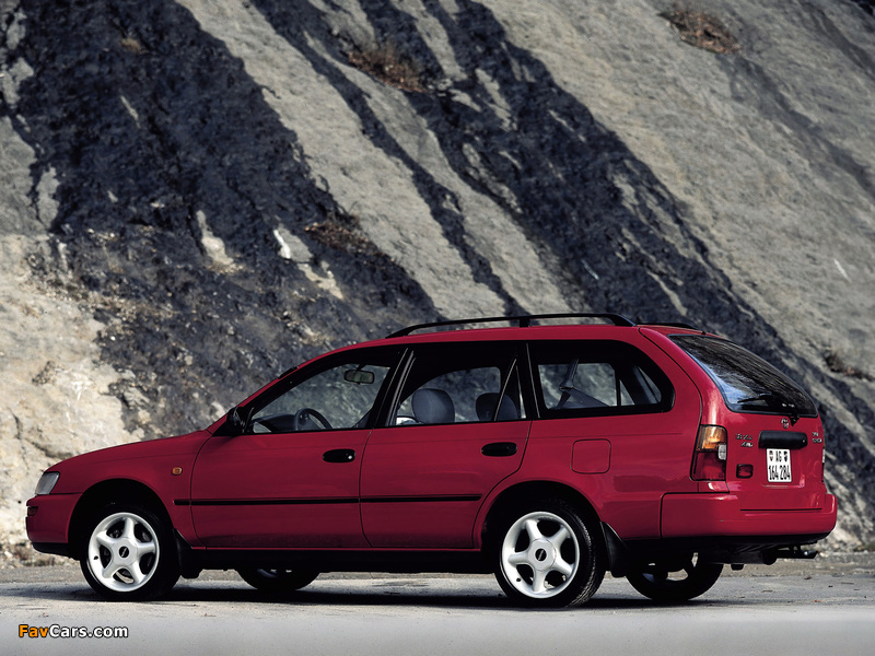 Photos of Toyota Corolla Touring Wagon 1992–97 (800 x 600)