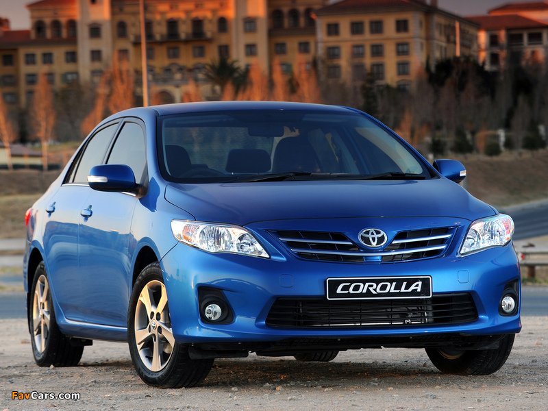 Photos of Toyota Corolla Sprinter 2010 (800 x 600)