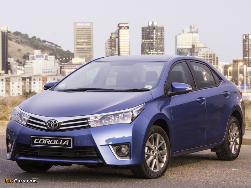 Photos of Toyota Corolla Sprinter 2014 (800 x 600)