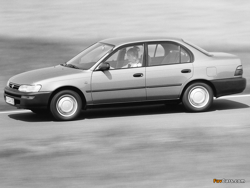 Pictures of Toyota Corolla 1992–97 (800 x 600)