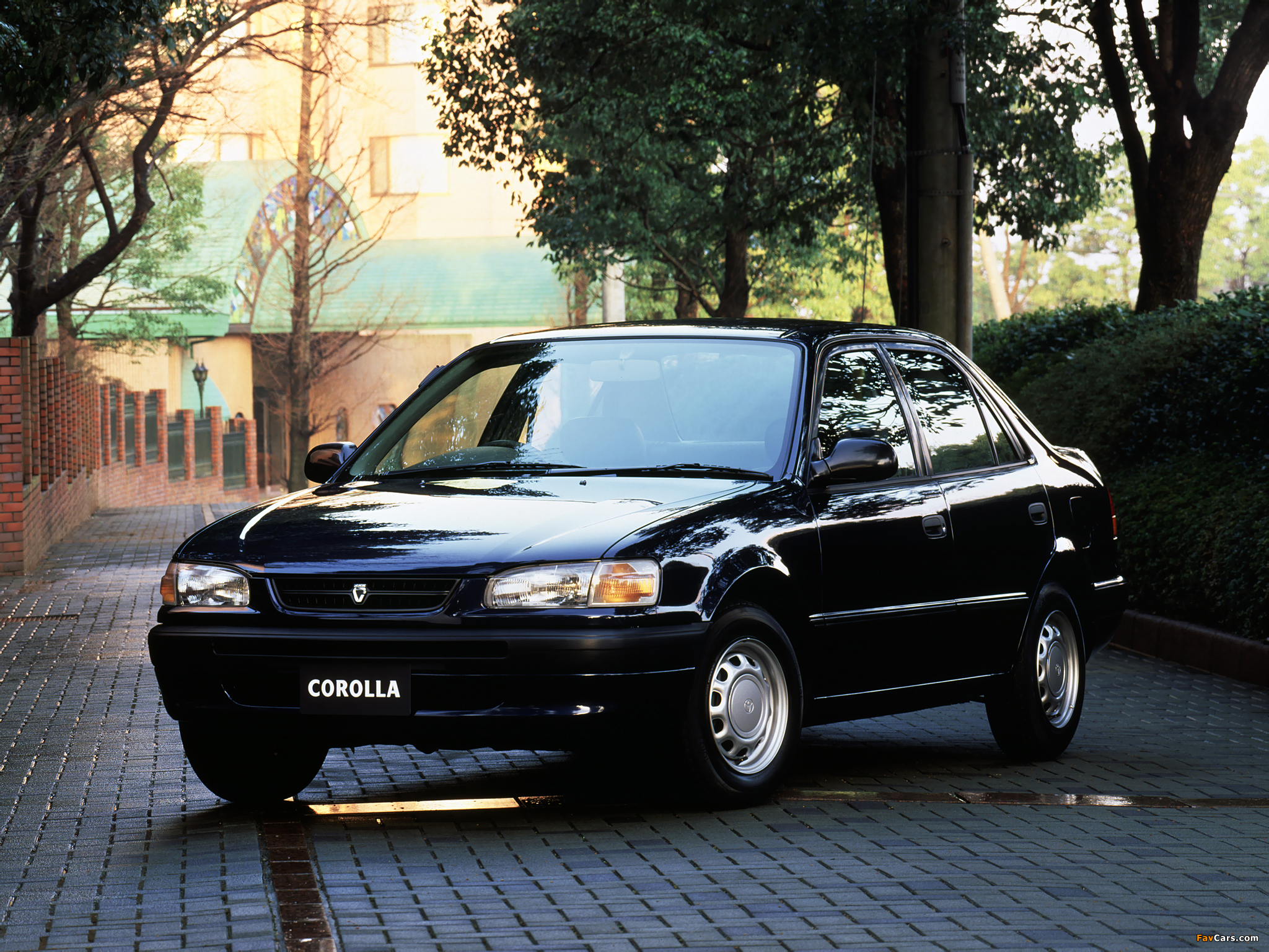 Pictures of Toyota Corolla 1.3 LX (EE111) 1995–96 (2048 x 1536)
