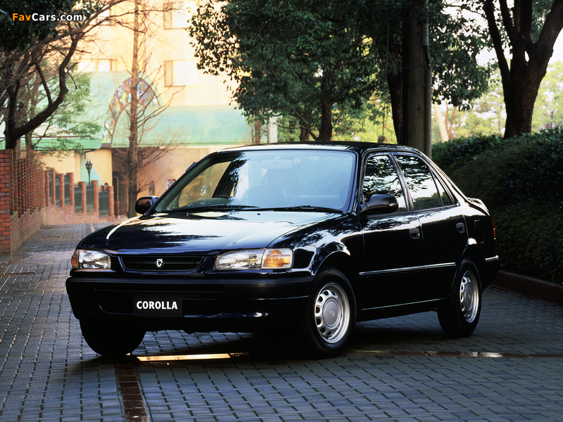 Pictures of Toyota Corolla 1.3 LX (EE111) 1995–96 (800 x 600)
