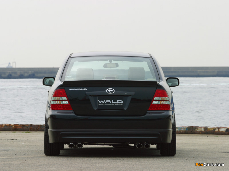 Pictures of WALD Toyota Corolla Sedan 2000–04 (800 x 600)