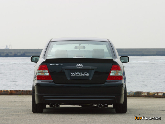 Pictures of WALD Toyota Corolla Sedan 2000–04 (640 x 480)