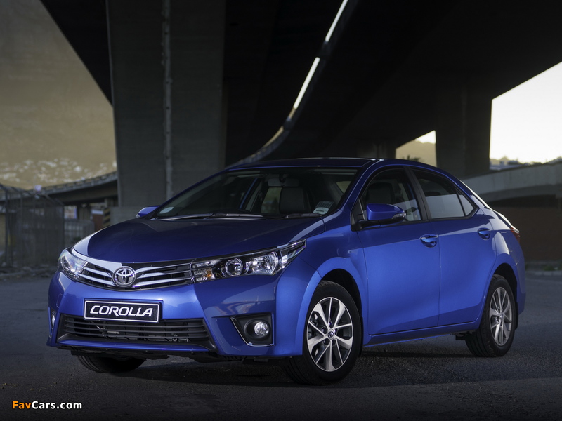 Pictures of Toyota Corolla Sprinter 2014 (800 x 600)