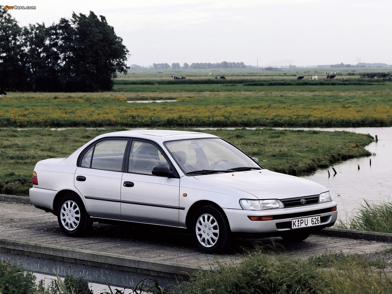 Toyota Corolla 1992–97 images (1280 x 960)