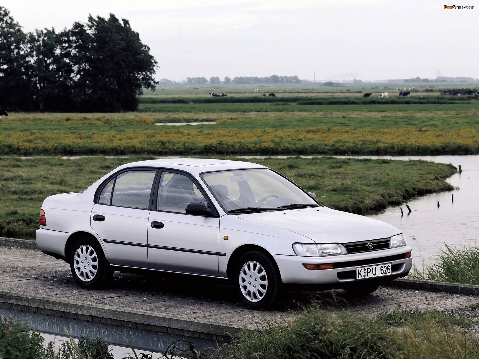 Toyota Corolla 1992–97 images (1600 x 1200)