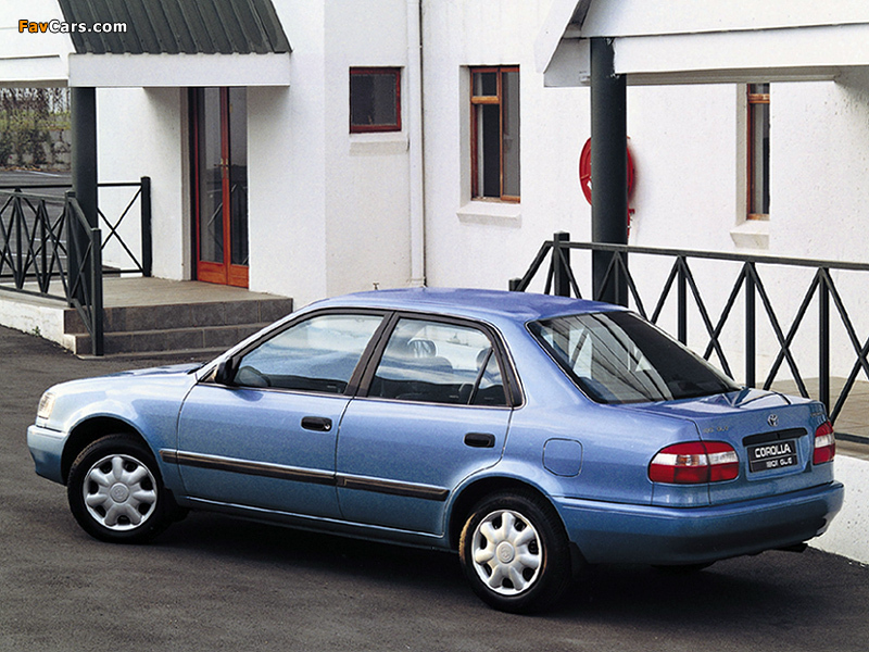 Toyota Corolla GLE Sedan ZA-spec 1995–2000 pictures (800 x 600)