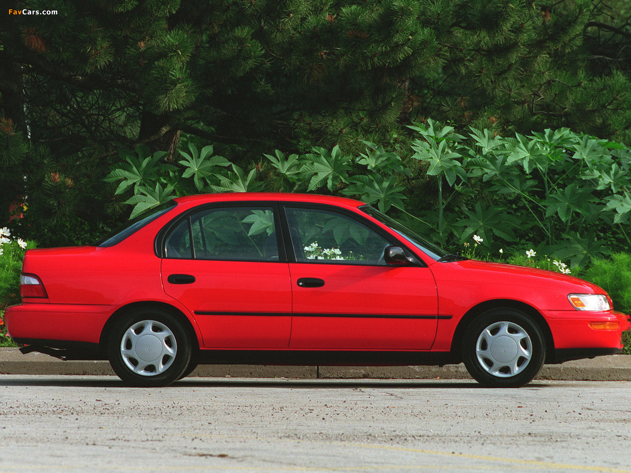 Toyota Corolla Sedan US-spec 1996–97 images (1280 x 960)