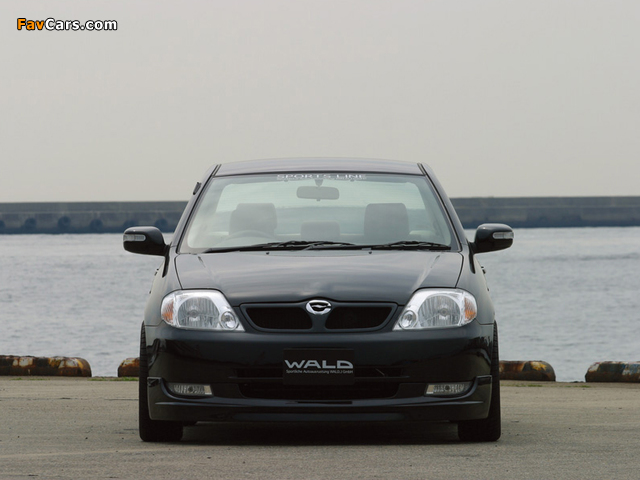 WALD Toyota Corolla Sedan 2000–04 photos (640 x 480)