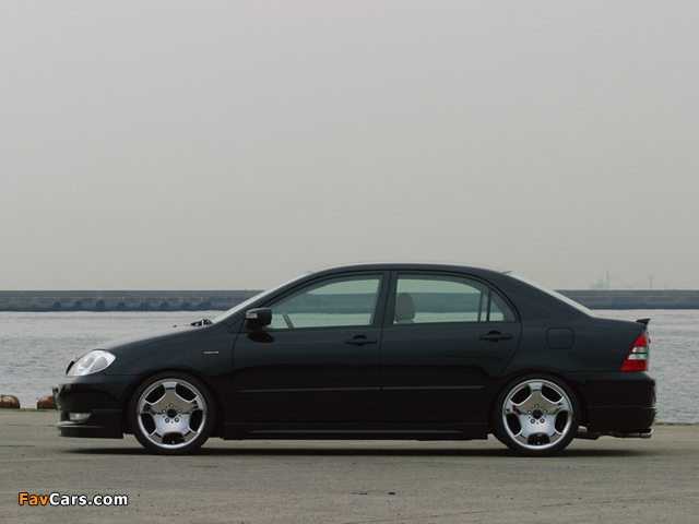 WALD Toyota Corolla Sedan 2000–04 pictures (640 x 480)