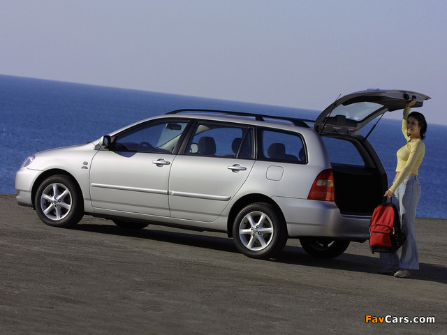 Toyota Corolla Wagon 2004–07 pictures (640 x 480)