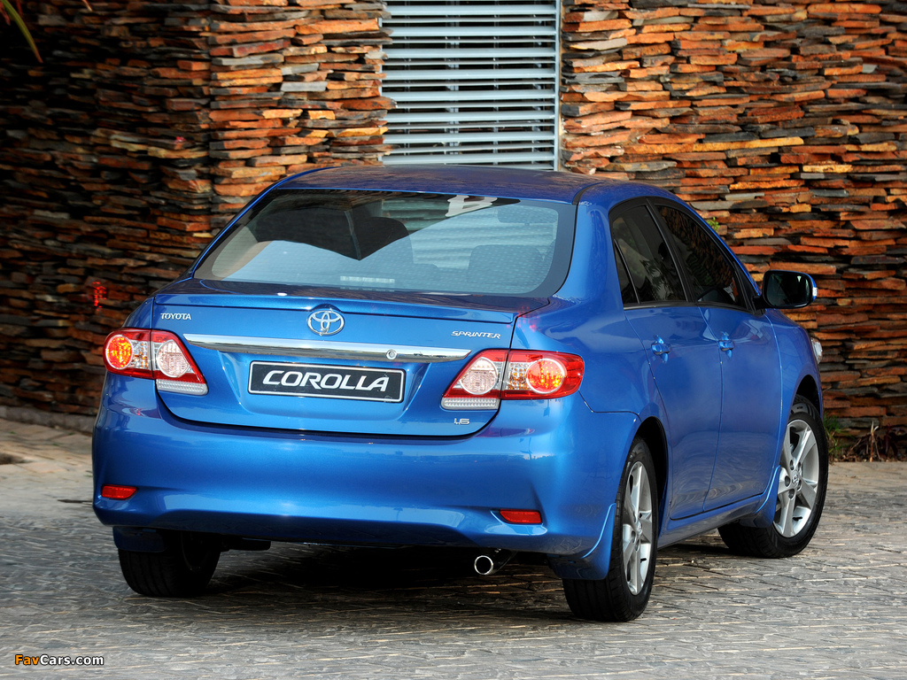 Toyota Corolla Sprinter 2010 images (1024 x 768)