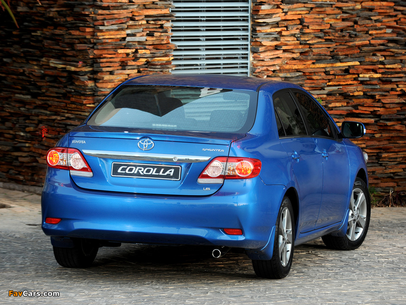 Toyota Corolla Sprinter 2010 images (800 x 600)