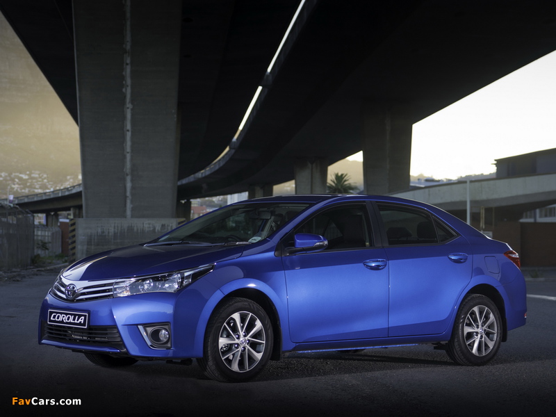 Toyota Corolla Sprinter 2014 images (800 x 600)