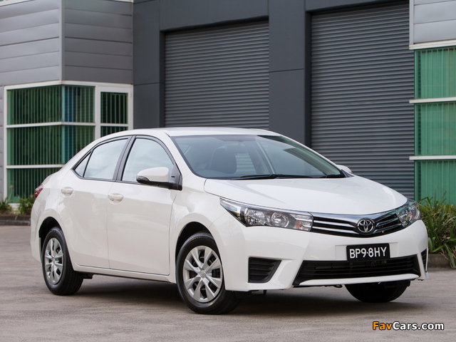 Toyota Corolla Sedan Ascent 2014 photos (640 x 480)