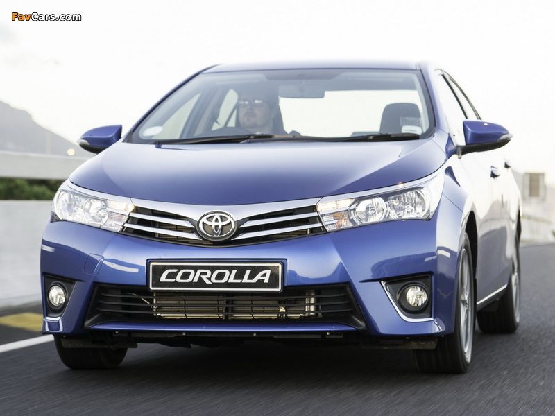 Toyota Corolla Sprinter 2014 pictures (800 x 600)