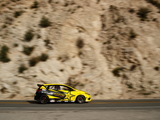 Papadakis Racing Toyota Corolla iM 2017 images