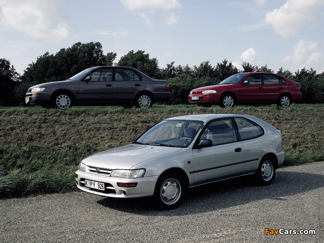 Toyota Corolla images (640 x 480)