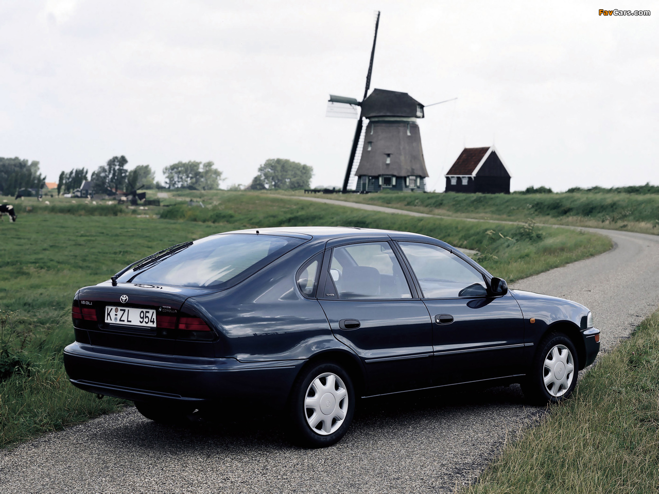 Toyota Corolla Liftback 1992–97 wallpapers (1280 x 960)