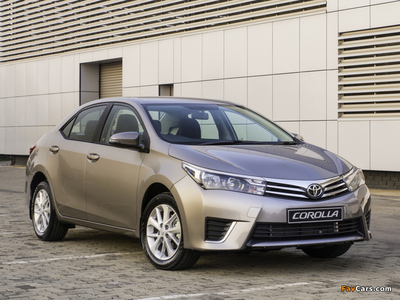 Toyota Corolla ZA-spec 2014 wallpapers (800 x 600)