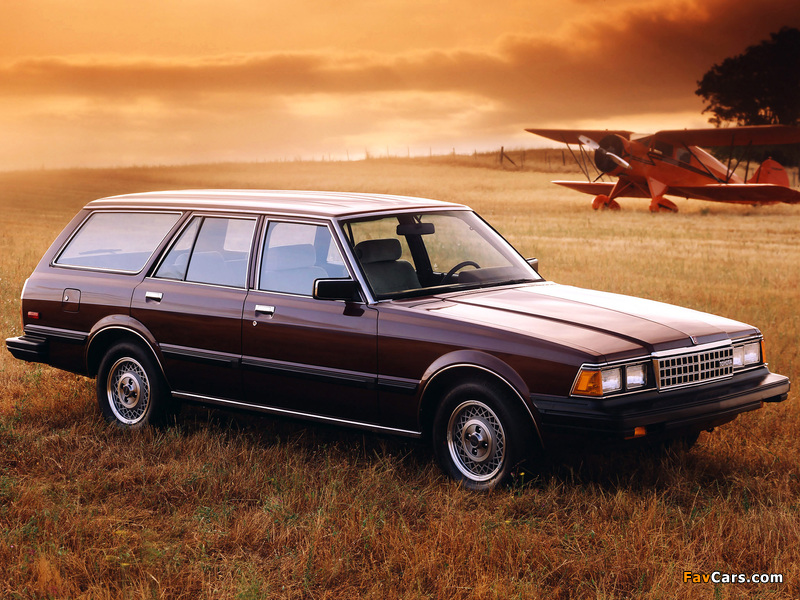 Photos of Toyota Cressida Wagon 1982–84 (800 x 600)