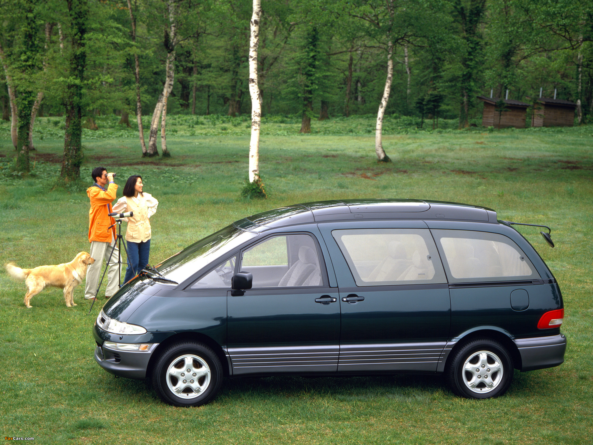 Images of Toyota Estima Emina 1992–99 (2048 x 1536)