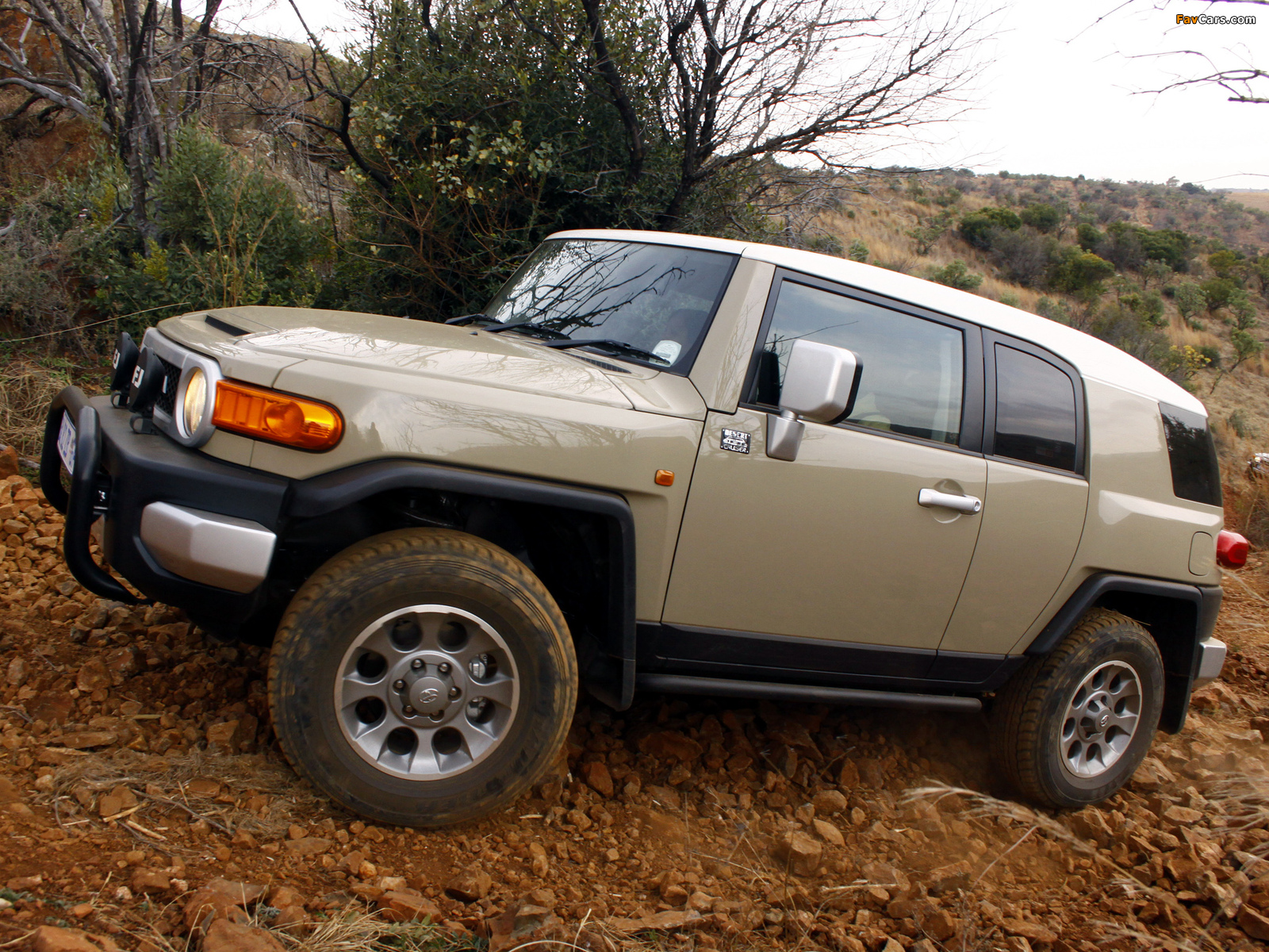 Images of Toyota FJ Cruiser ZA-spec (GSJ15W) 2010 (1600 x 1200)