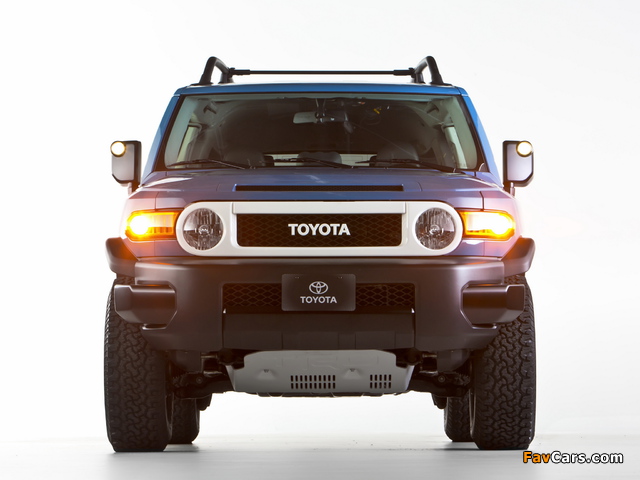 Images of Toyota FJ Cruiser Trail Teams Ultimate (GSJ15W) 2014 (640 x 480)