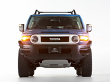 Images of Toyota FJ Cruiser Trail Teams Ultimate (GSJ15W) 2014