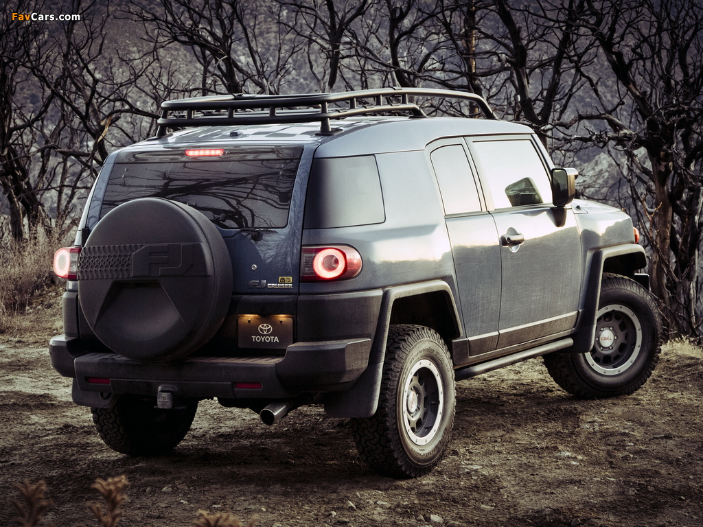 Images of Toyota FJ Cruiser Trail Teams Ultimate (GSJ15W) 2014 (1024 x 768)