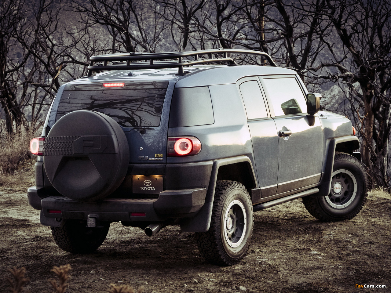 Images of Toyota FJ Cruiser Trail Teams Ultimate (GSJ15W) 2014 (1280 x 960)