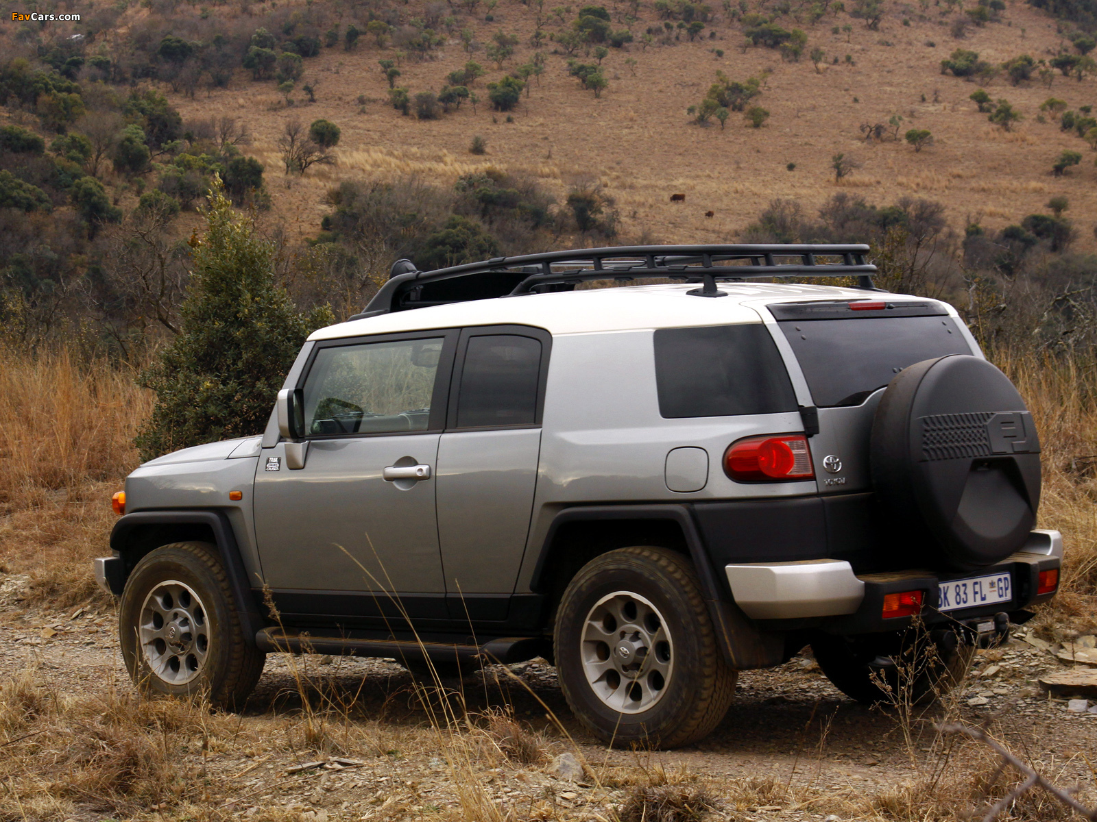 Toyota FJ Cruiser ZA-spec (GSJ15W) 2010 images (1600 x 1200)