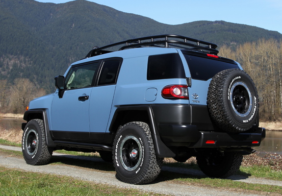 A-R GSJ15W FJクルーザー 4.0 4WD (FJ Cruiser) 2015 Toyota Fj Cruiser CBA-GSJ15W 4WD - Car Price $22,344