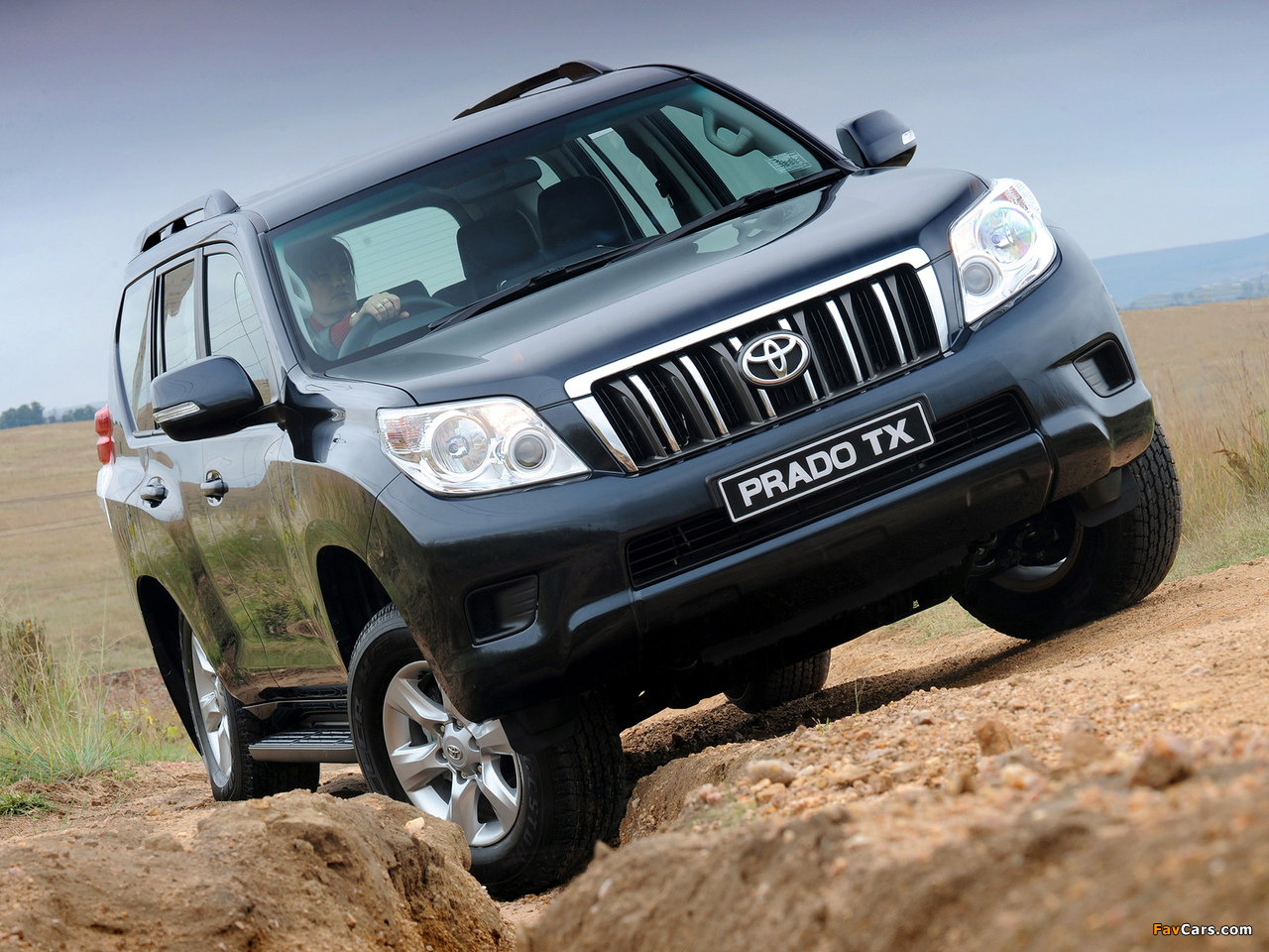 Pictures of Toyota Land Cruiser Prado TX 5-door ZA-spec (150) 2009 (1280 x 960)